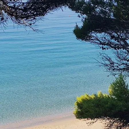 Hébergement de vacances Fiore , 200m From Square Argostóli