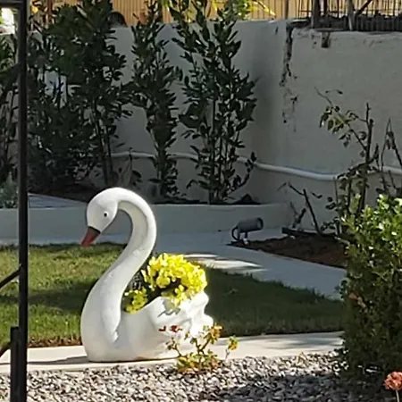 Fiore , 200m From Square Hébergement de vacances Argostóli