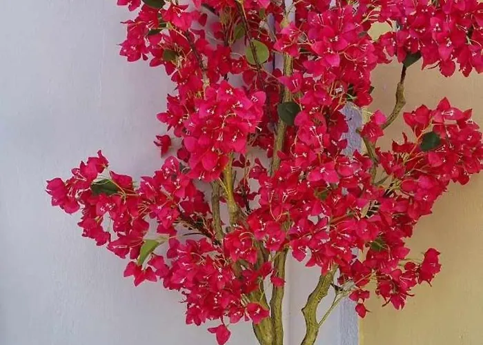 Fiore , 200m From Square Holiday home